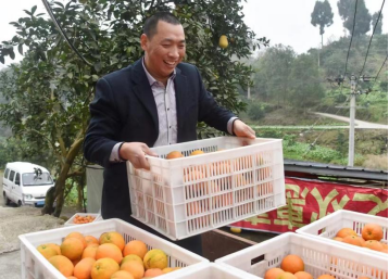 圖為李進