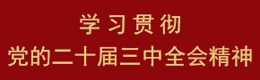 學(xué)習(xí)貫徹黨的二十屆三中全會(huì)精神