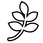 食藥同源